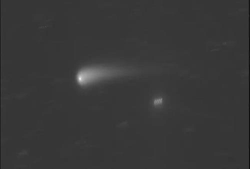 ستاره دنباله دار پاییز امسال آسمان را درخشان می کند